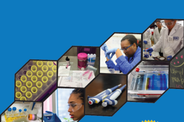 Cover of Curriculum: Rice Genetic Modification Simulation