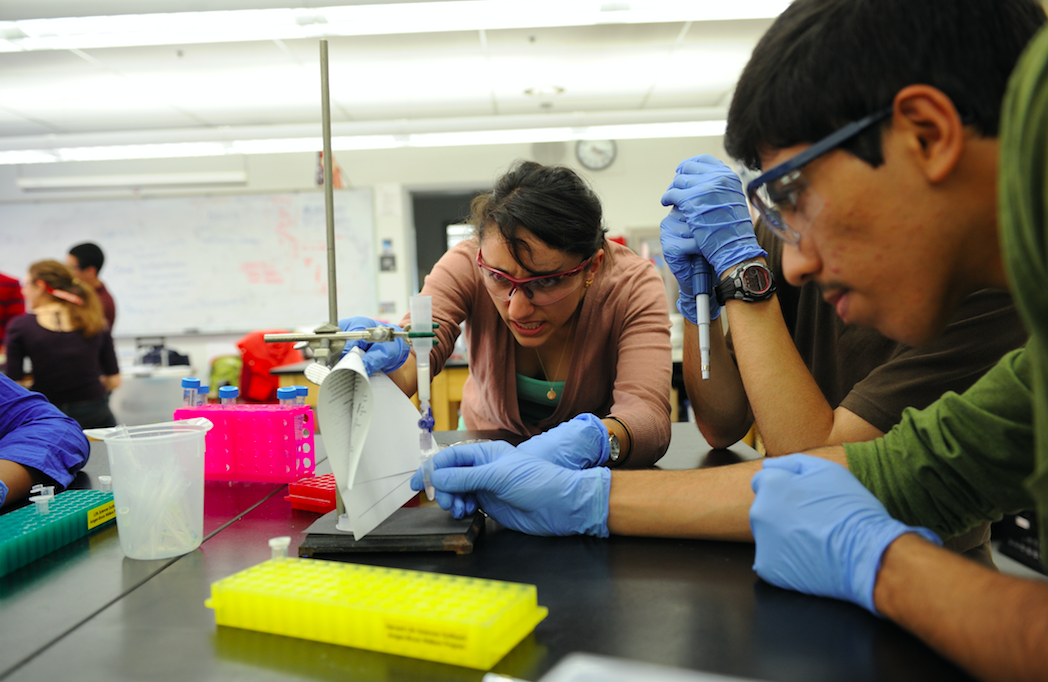 amgen summer program connects high school students to amgen careers