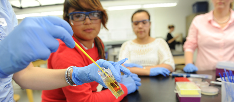 Students in science lab