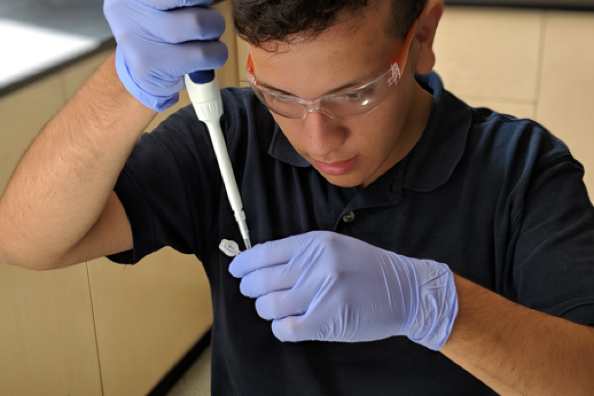 Male using a micropipette to add liquid to a tube.