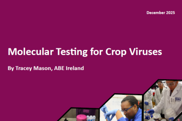 mason-mtf-thumbnail-cropped