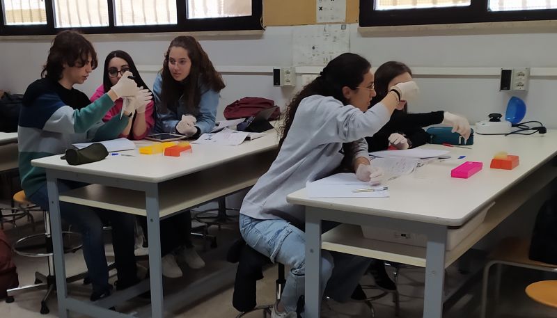 Students working in lab in Italy ABE classroom