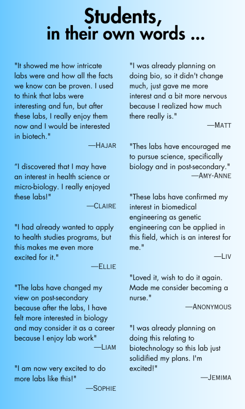 student quotes