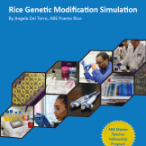 Cover of Curriculum: Rice Genetic Modification Simulation