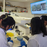 Students in Mexico working on ABE in the lab