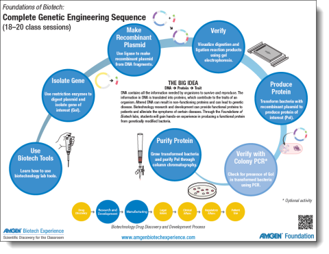 Big Idea Foundations of Biotech graphic all sequences