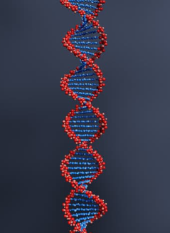 dna