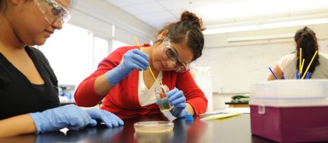 Students in science lab