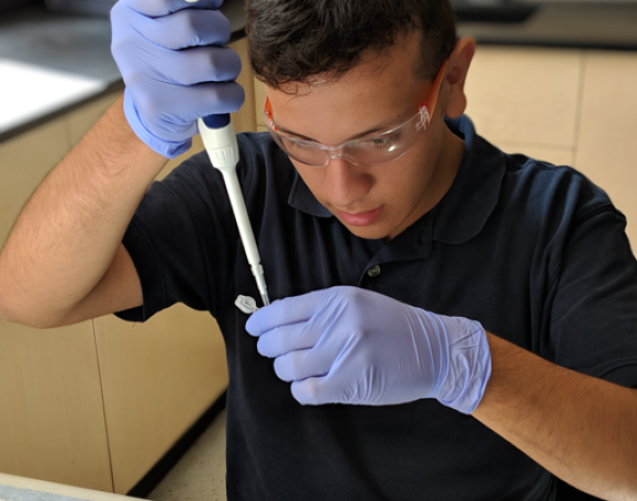 Male using a micropipette to add liquid to a tube.
