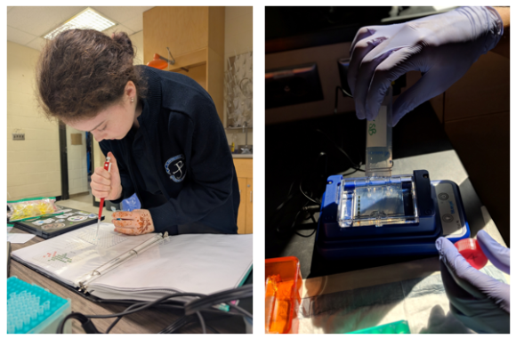 student working with pipette and piece of biotech equipment