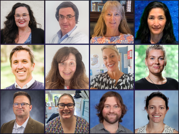 collage of master teacher fellows headshots