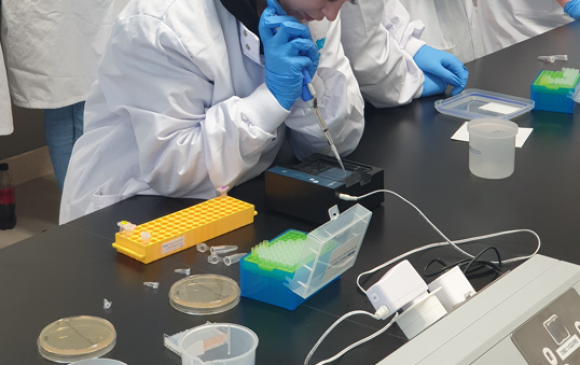 student using a pipette in the lab
