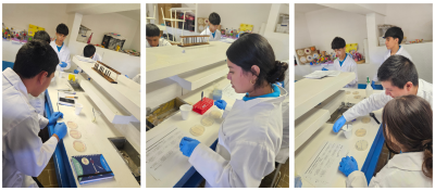 students working in a lab