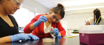 Terms of Use Students in science lab
